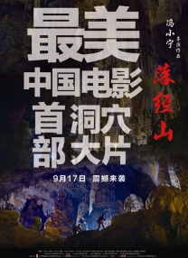 红色按钮电视剧全集播放免费观看